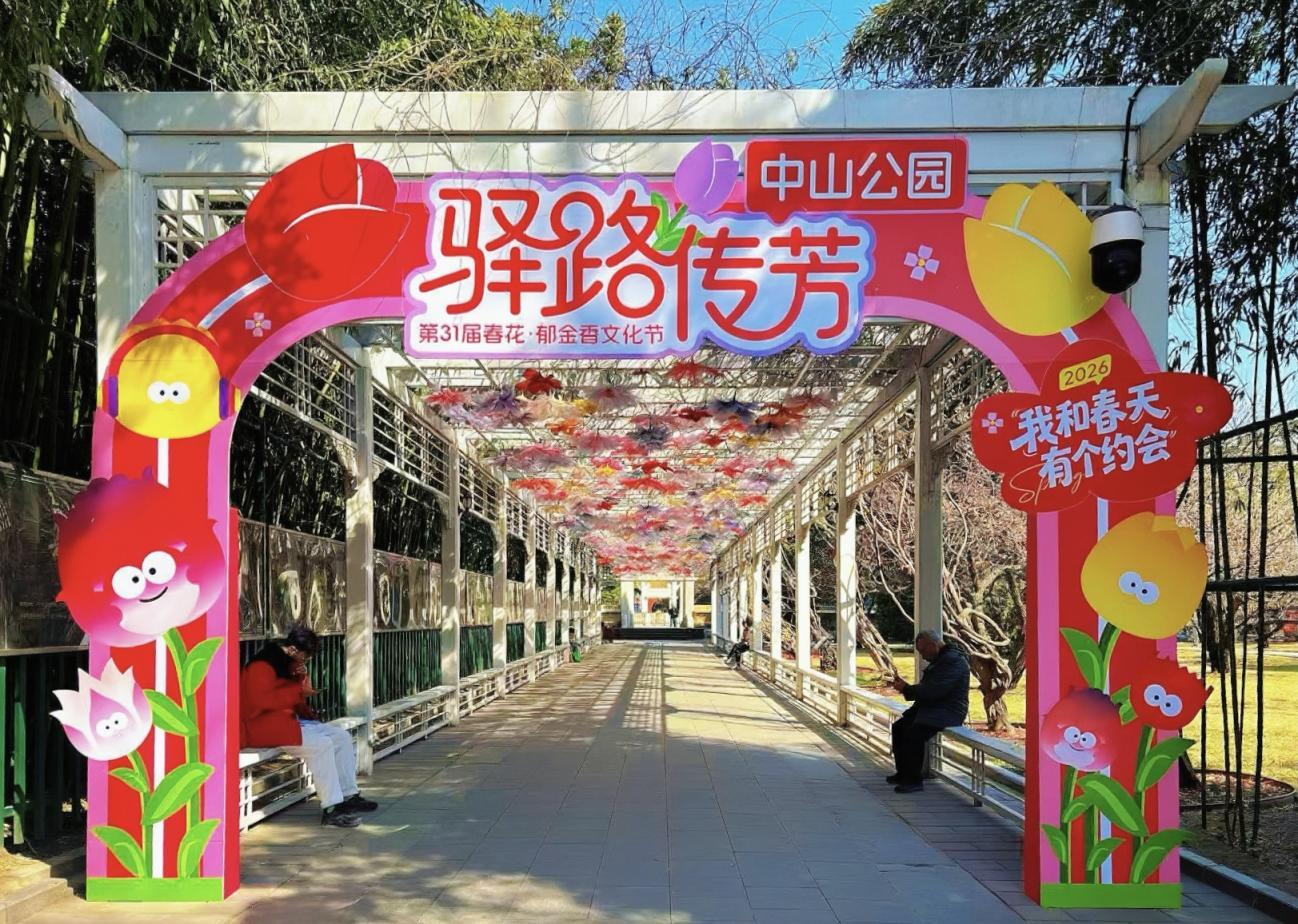 中山公园郁金香